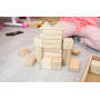 Детская игрушка. Конструктор. 48 деталей. Экопродукт. 26х35см