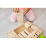 Детская игрушка. Конструктор. 48 деталей. Экопродукт. 26х35см