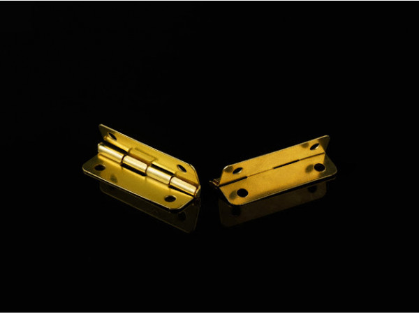 Петля. 30х17мм